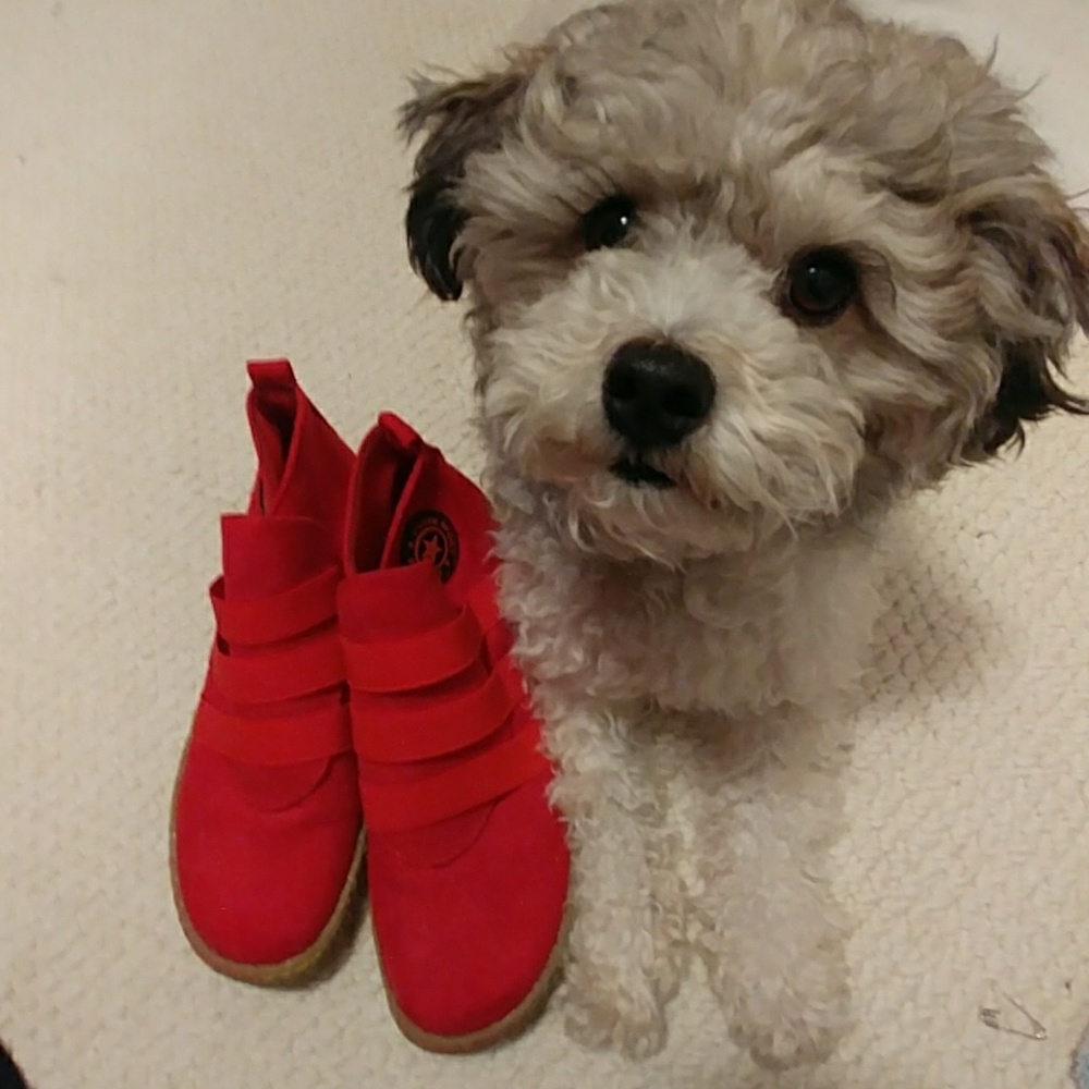 VOGUE ankle booties!!💎💖💞Red, stunning, velvet!